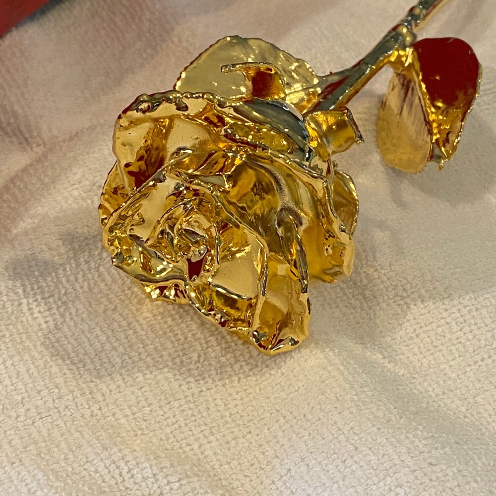 COPY - Real Rose dipped in 24 kt Gold